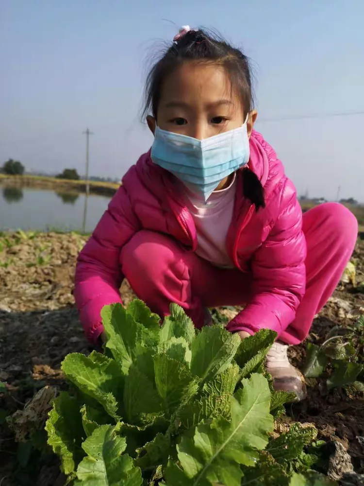 张郭庄幼儿园 大二班