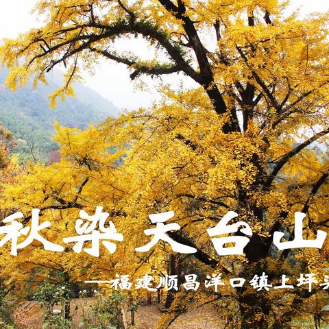 秋染天台山