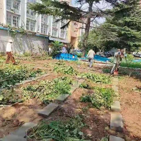 持续发力 重点不停-友谊街道办事处拆违进行时（三)