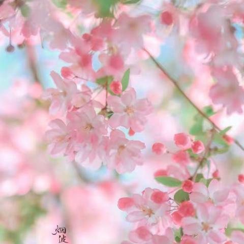 书香四溢阅读组“发现美”主题阅读会