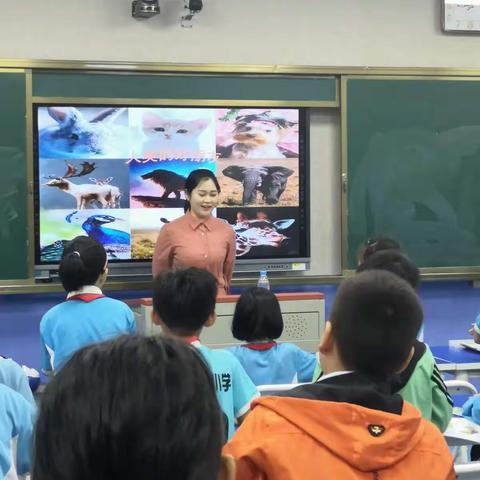 教研之花绽放南新——易佳老师于南新小学公开课