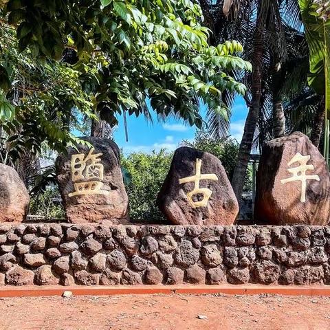 初冬海南行/洋浦盐田