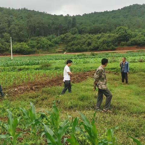 噜姑村委会日常查看暴雨受灾情况、整治村内环境卫生