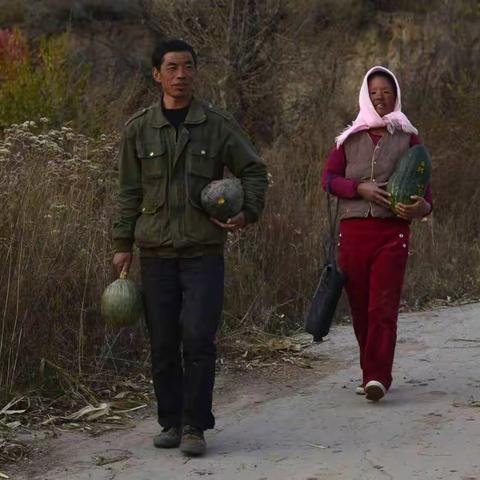 南瓜夫妻