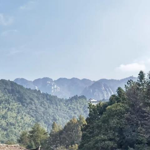 诗意杏花    圣地九华