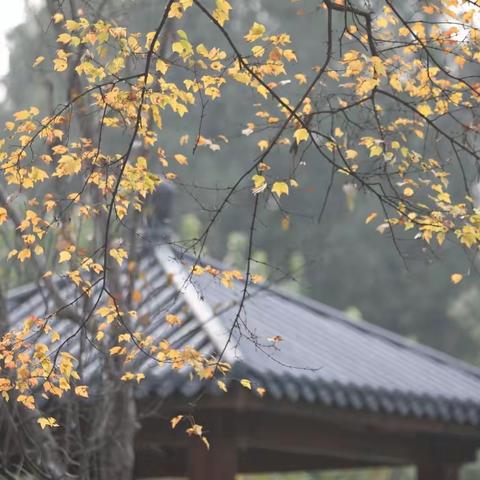 逍遥津里逍遥游  教弩台上寻古迹