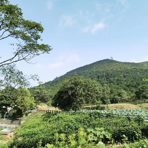 觅得桃源打卡留影 守得初心返璞归真
