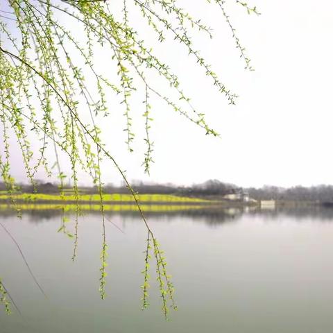 我们与春天来个约会