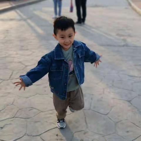 小树春游记
