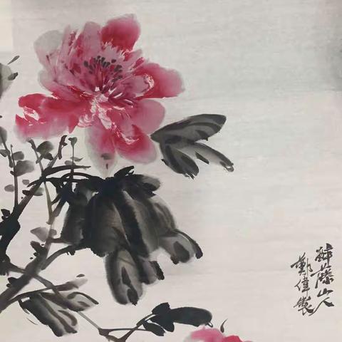 郑老师画牡丹