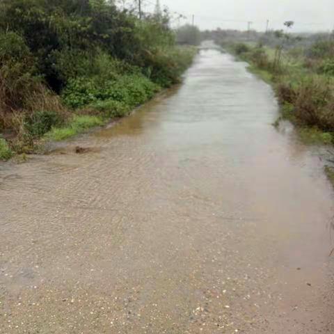 小学生“防溺水”(防汛)安全专项大排查