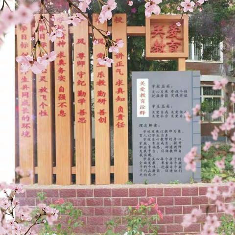 花蕊绽放在生活的大舞台