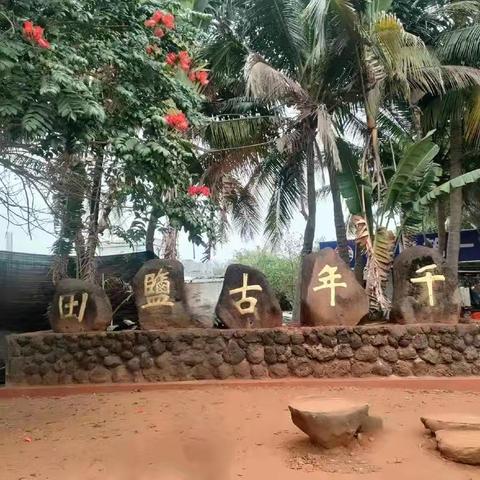 中国城市十之最[六]，雷暴最多一一儋州(2)