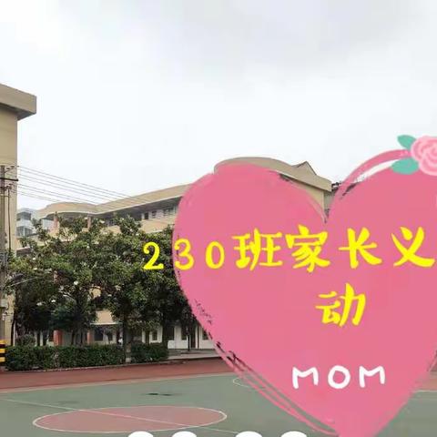 您就是初夏至美之花 —— 三小230班家长义工活动