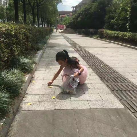 “会跳舞的叶子”——恒泰学校一年级科学课外实践作业