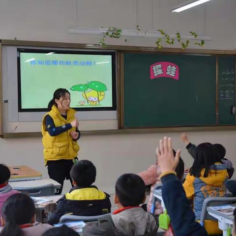 蛙噻，好多啊🐸