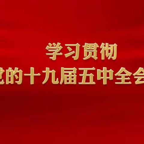 纳赤塘小学“学习十九届五中全会精神，争做新时代好队员”主题活动