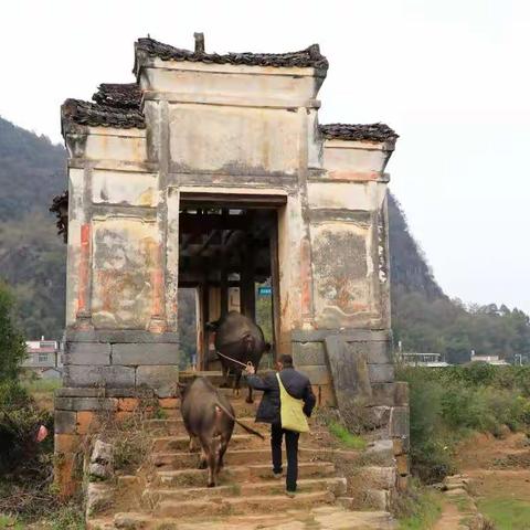 潇贺古道之岩寺营牛塘峡篇