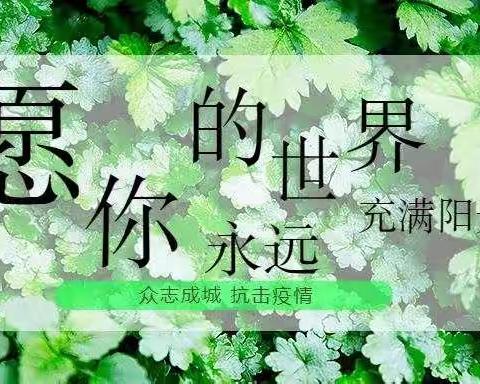 停课不停学，坚持在路上——鄂温克旗大雁镇第二小学英语组“隔空课堂”第九周教学活动纪实
