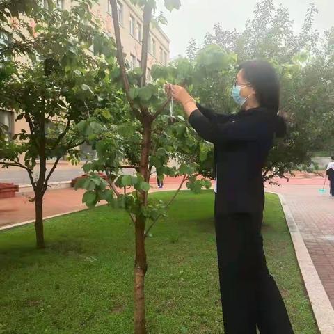 粽叶飘香 端午情深——通化市第二十一中学祝九年学子中考高中送粽活动