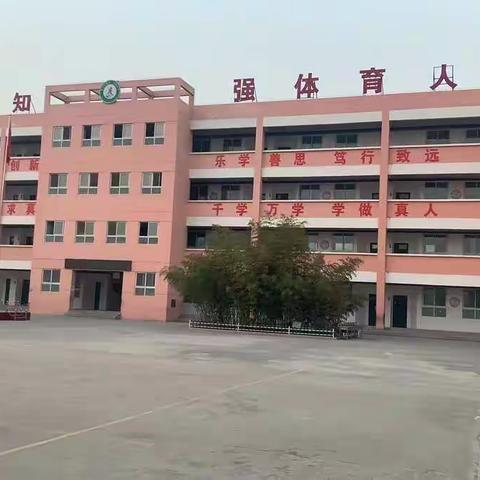 云端教学凝聚智慧，赋能网课五育并举