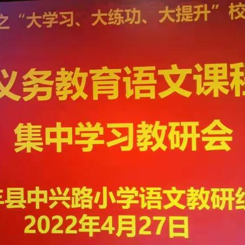 中兴路小学 “能力作风建设年”活动—— 研读新课标  解读新变化—《义务教育语文课程标准》语文组教研活动