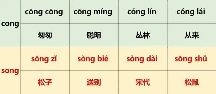 新科奇幼儿园【拼音词组训练】
