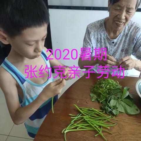 2020年暑期亲子劳动