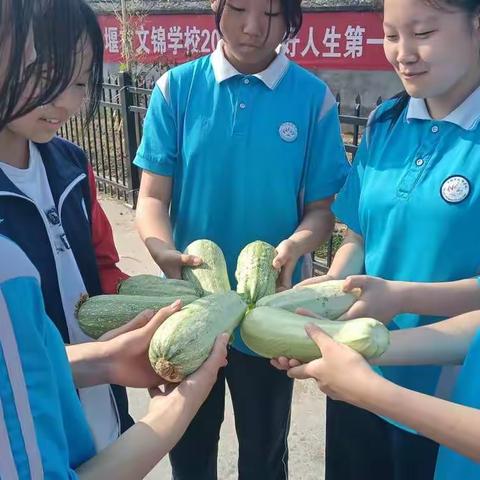 童心献礼二十大————十堰市文锦学校“劳动美”教育实践活动系列（实践篇）