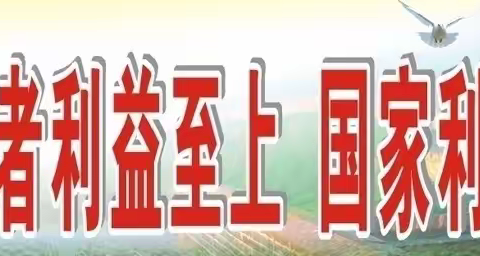 诚信花开  文明社会