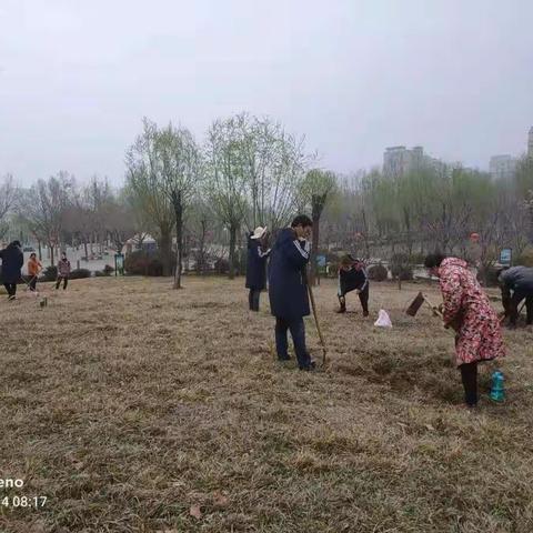 热火朝天移植忙 提质增绿在行动