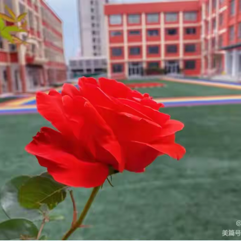 守温暖教育，让美好发生——枣庄市市中区红旗小学东校区规范办学行为致家长的一封信