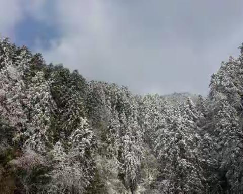 雪峰奇险雪如画