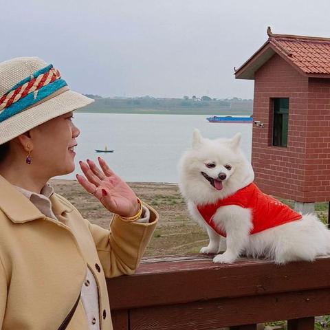 lyp60121亚平的美篇，一片寒霜入冬凉，一句关心暖心房，寒风捎去问候，添衣保暖别着凉，新冠疫情依然在，出门时刻