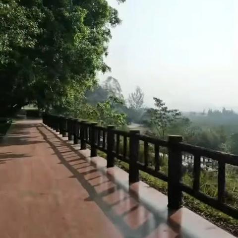 亚平笛声久未闻，隔屏千里听入神。万倾红树虽状丽，难敌悠扬曲之韵。张云龙 🎄🎍🎑🎉🎐🎓🎏