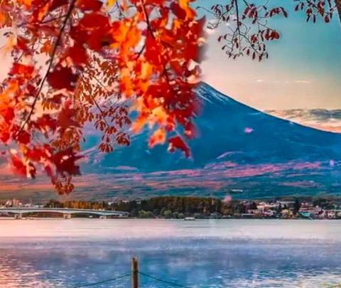 “念去去，千里烟波，暮霭沉沉楚天阔”，文章清白，灵气闪耀，隽永解读，只为美好滋味有注脚...