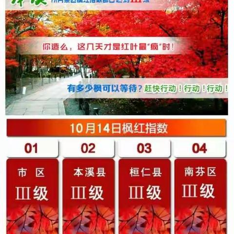 本溪市2016年10月14日枫红指数发布