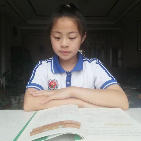 不负盛夏 快乐成长—唐县第二小学五2班暑假作业总结