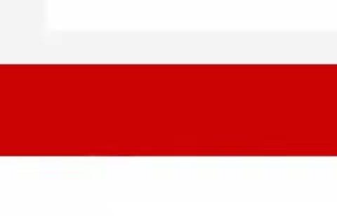 天桥区档案馆3月份党代表接待日公告