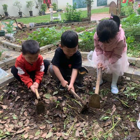 劳动最光荣 ———白云二幼一分园中二班