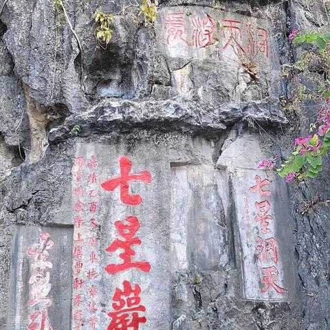 2025年春假游览祖国大好河山（E）