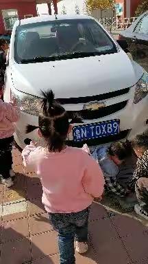 中班教学活动《我看到的车》