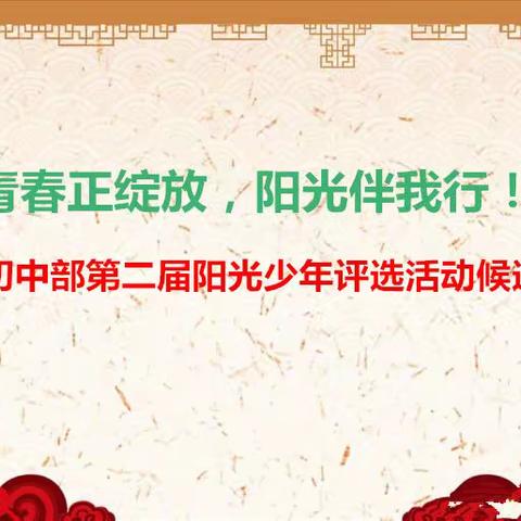 青春正绽放，阳光伴我行！芦林学校第二届阳光少年候选人风采展示