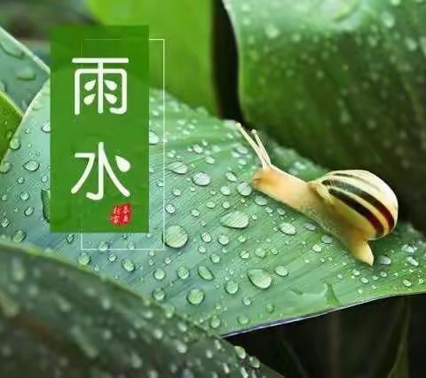 后祁幼儿园二十四节气“雨水”主题活动