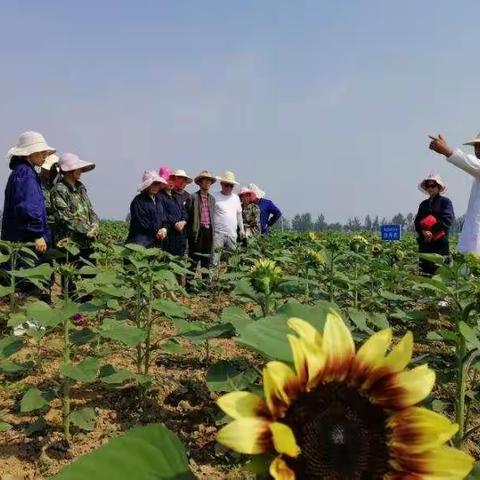 农业农村局6月26日工作动态