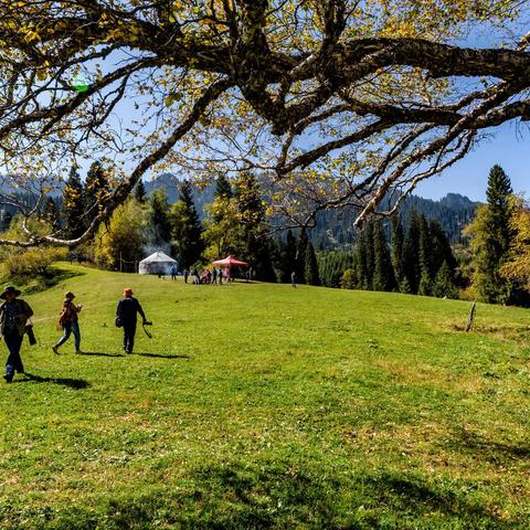 大美新疆---美丽草原那拉提
