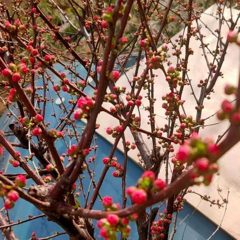 如切如磋共教研，齐头并进同成长