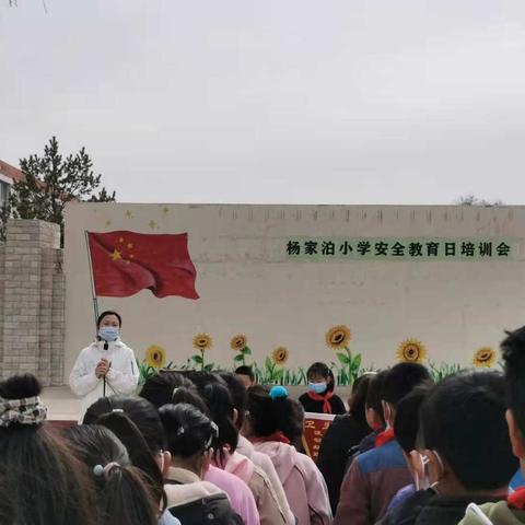 杨家泊小学安全教育日活动纪要