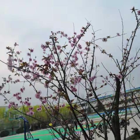 八年级生物组集体研课活动