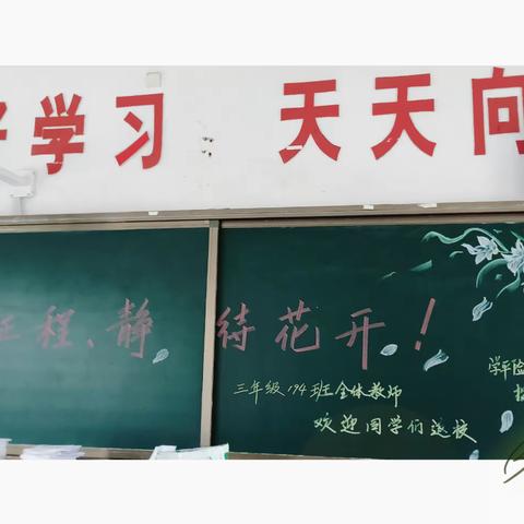 盼盼中心小学194班开学篇